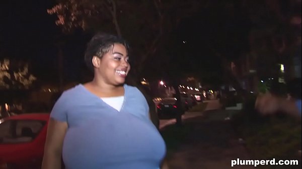 Fat Black Bitch Takes Huge Black Cock